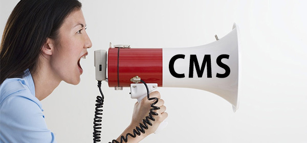 CMSと叫ぶ理由  なぜ今CMSなのか・・・